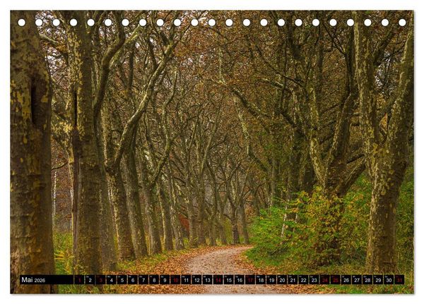Produktbild: Herbst rund um den Bodensee (Tischkalender 2026 DIN A5 quer), CALVENDO Monatskalender