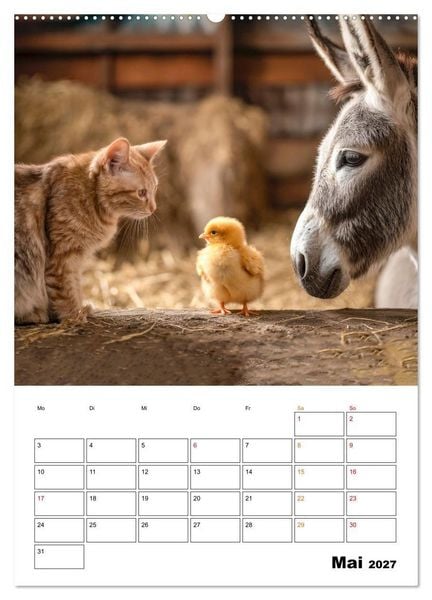 Produktbild: Ein Herz und eine Schnauze - Ein tierisch buntes Miteinander (Wandkalender 2027 DIN A2 hoch), CALVENDO Monatskalender