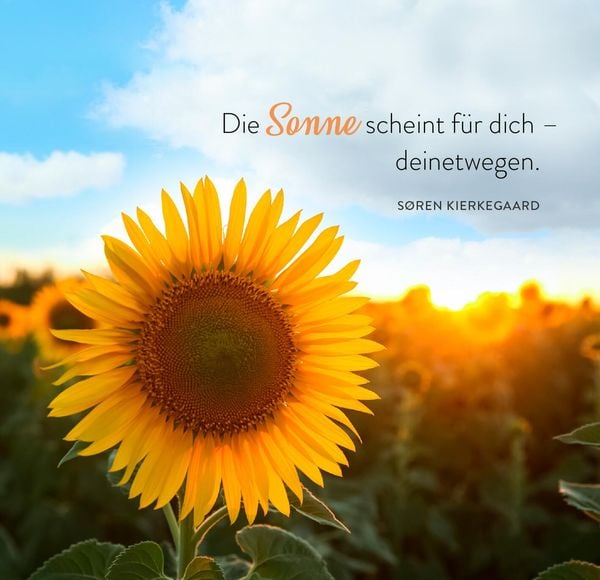Produktbild: 365 Tage Sonne im Herzen