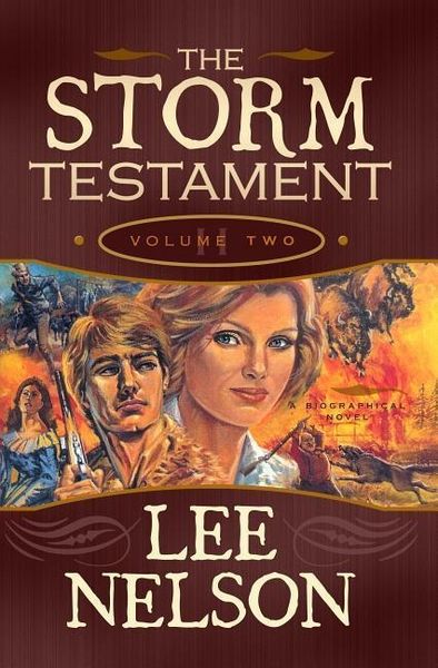 Produktbild: Storm Testament II, PB