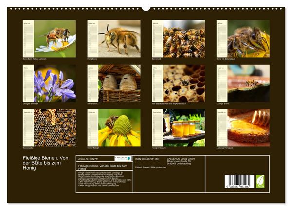 Produktbild: Flei&szlig;ige Bienen. Von der Bl&uuml;te bis zum Honig (hochwertiger Premium Wandkalender 2026 DIN A2 quer), Kunstdruck in Hochglanz