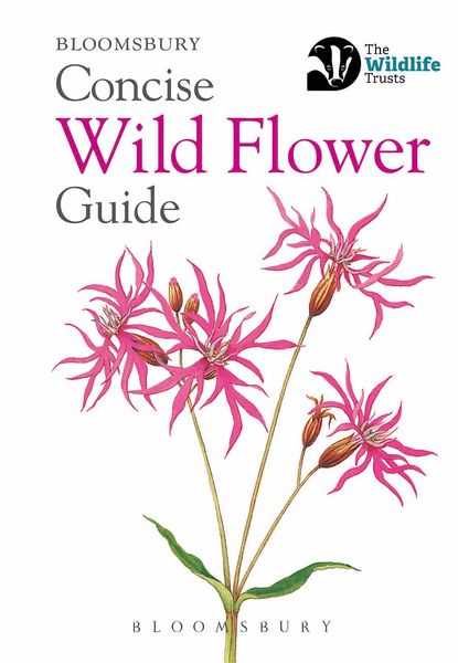 Produktbild: Concise Wild Flower Guide
