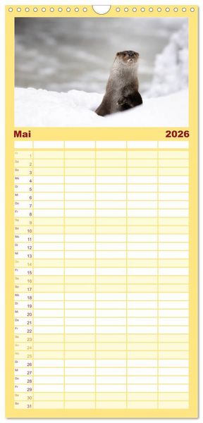 Produktbild: Familienplaner 2026 - Fischotter, flinke J&auml;ger mit 5 Spalten (Wandkalender, 21 x 45 cm) CALVENDO