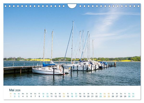 Produktbild: Die Schlei - Segelrevier und Naherholungsgebiet (Wandkalender 2026 DIN A4 quer), CALVENDO Monatskalender