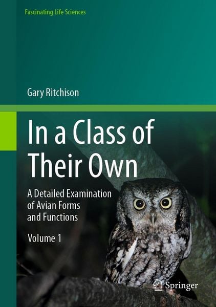Produktbild: In a Class of Their Own