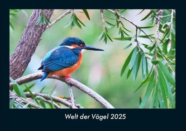 Produktbild: Welt der V&ouml;gel 2025 Fotokalender DIN A4