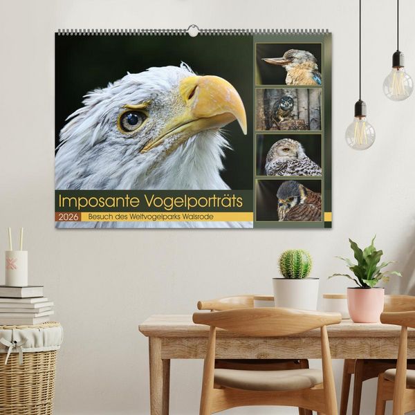 Produktbild: Imposante Vogelportr&auml;ts (Wandkalender 2026 DIN A2 quer), CALVENDO Monatskalender