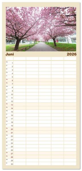 Produktbild: Familienplaner 2026 - Heidelberg im Fokus mit 5 Spalten (Wandkalender, 21 x 45 cm) CALVENDO