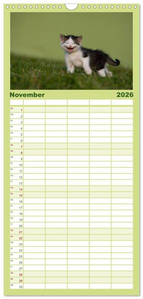 Produktbild: Familienplaner 2026 - L&auml;chelnd durchs Jahr - Katzenkinder -Familienplaner hoch mit 5 Spalten (Wandkalender, 21 x 45 cm) CALVENDO