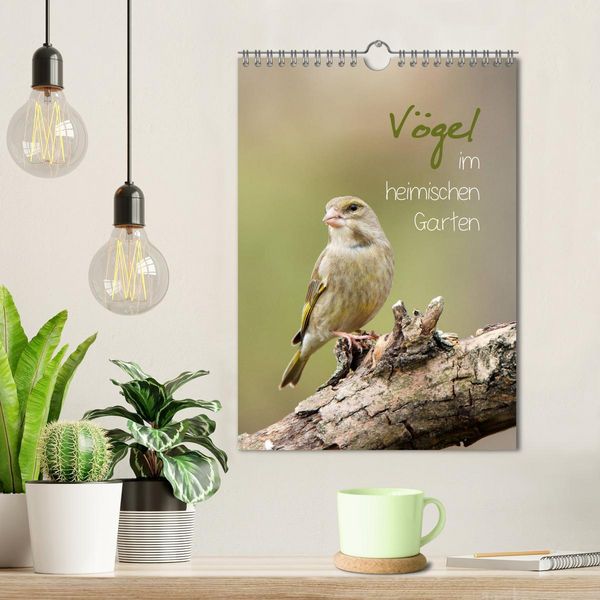 Produktbild: V&ouml;gel im heimischen Garten (Wandkalender 2026 DIN A4 hoch), CALVENDO Monatskalender