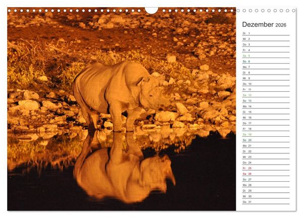 Produktbild: Nash&ouml;rner - Sanfte Riesen (Wandkalender 2026 DIN A3 quer), CALVENDO Monatskalender