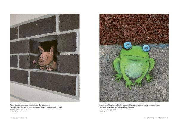 Produktbild: David Zinn. Street Art