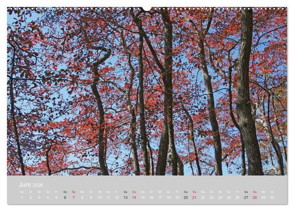 Produktbild: Indian Summer in New England (Wandkalender 2026 DIN A2 quer), CALVENDO Monatskalender