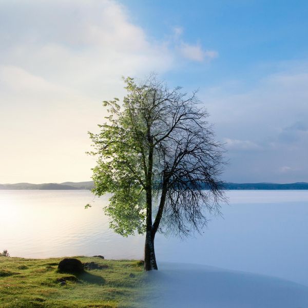 Produktbild: Seasons