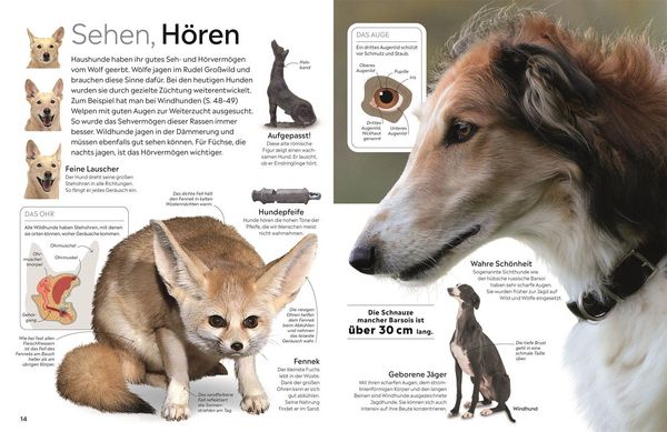 Produktbild: memo Wissen. Hunde