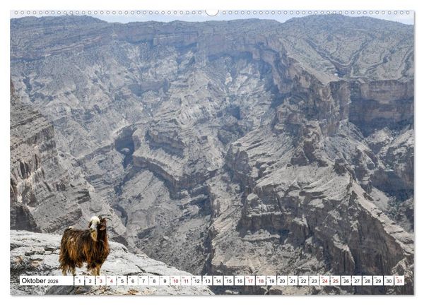 Produktbild: Oman - Perle des Orients (Wandkalender 2026 DIN A2 quer), CALVENDO Monatskalender