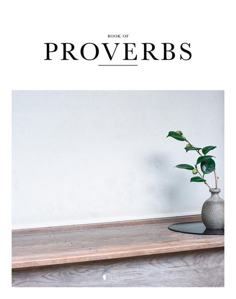 Produktbild: Book of Proverbs (Hc, Nlt)