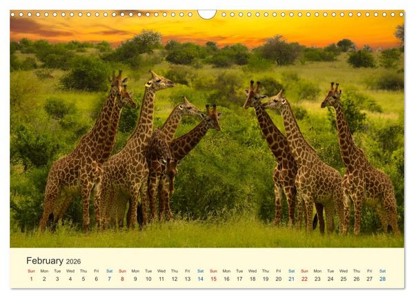 Produktbild: Wonderful Kenya (Wall Calendar 2026 DIN A3 landscape), CALVENDO 12 Month Wall Calendar