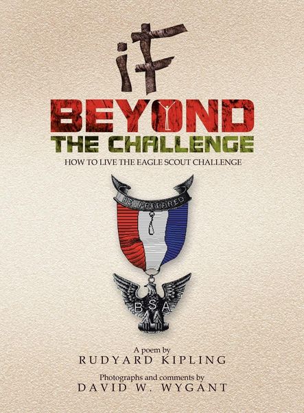Produktbild: IF - Beyond the Challenge