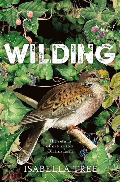 Tree, I: Wilding