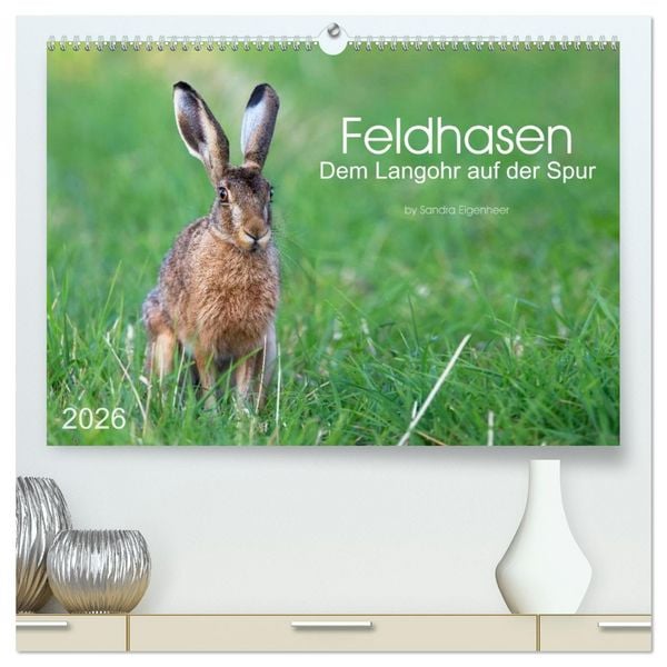 Produktbild: Feldhasen - dem Langohr auf der Spur (hochwertiger Premium Wandkalender 2026 DIN A2 quer), Kunstdruck in Hochglanz