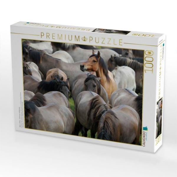 Produktbild: CALVENDO Puzzle Alles im Blick - D&uuml;lmener Wildpferde | 1000 Teile Lege-Gr&ouml;&szlig;e 64x48cm Foto-Puzzle f&uuml;r gl&uuml;ckliche Stunden
