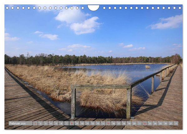 Produktbild: Pietzmoor - ein Hochmoor in der L&uuml;neburger Heide (Wandkalender 2026 DIN A4 quer), CALVENDO Monatskalender