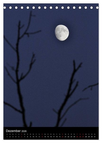 Produktbild: Wunderbarer Spreewald (Tischkalender 2026 DIN A5 hoch), CALVENDO Monatskalender