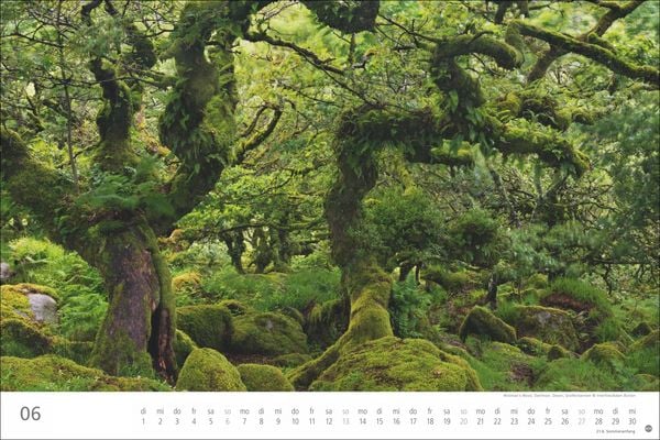 Produktbild: Wunderwelt Wald 2027