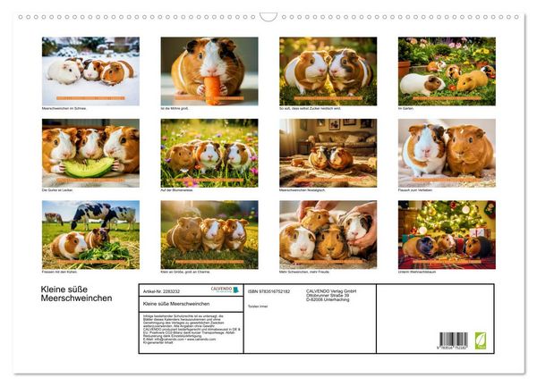 Produktbild: Kleine s&uuml;&szlig;e Meerschweinchen (Wandkalender 2027 DIN A2 quer), CALVENDO Monatskalender