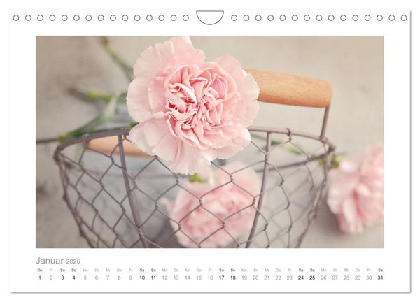 Produktbild: Blumen zart und sch&ouml;n (Wandkalender 2026 DIN A4 quer), CALVENDO Monatskalender