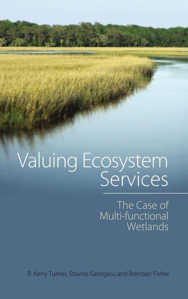 Produktbild: Valuing Ecosystem Services