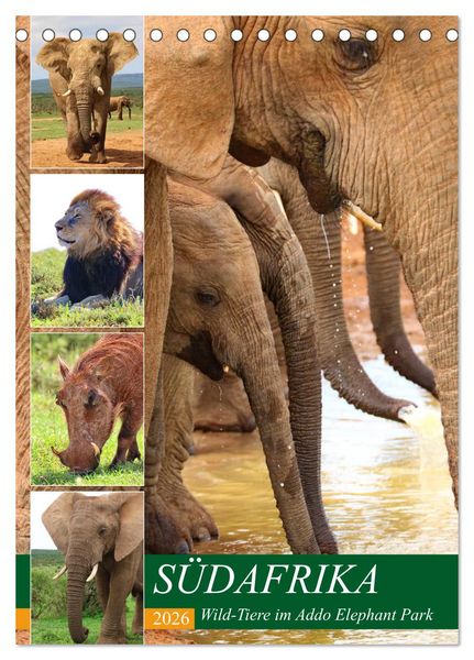 Produktbild: S&Uuml;DAFRIKA Wild-Tiere im Addo Elephant Park (Tischkalender 2026 DIN A5 hoch), CALVENDO Monatskalender