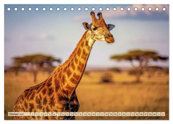 Produktbild: Gro&szlig;tiere - Weltweit (Tischkalender 2027 DIN A5 quer), CALVENDO Monatskalender