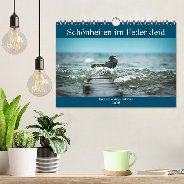 Produktbild: Sch&ouml;nheiten im Federkleid - Heimische Wildv&ouml;gel im Portrait (Wandkalender 2026 DIN A4 quer), CALVENDO Monatskalender
