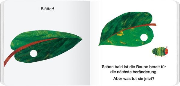 Produktbild: Von der Raupe zum Schmetterling