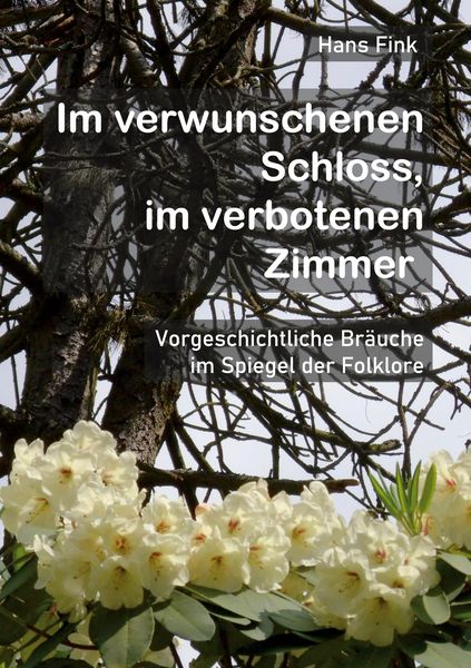 Produktbild: Im verwunschenen Schloss, im verbotenen Zimmer