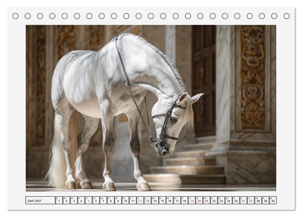 Produktbild: Spanische Eleganz. Edle Schimmel auf dem Gest&uuml;t (Tischkalender 2027 DIN A5 quer), CALVENDO Monatskalender