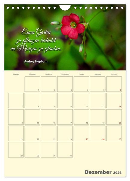 Produktbild: Gartenliebe (Wandkalender 2026 DIN A4 hoch), CALVENDO Monatskalender