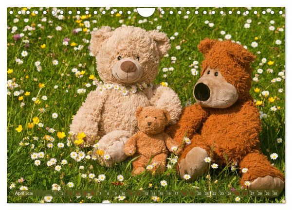 Produktbild: Kunterbunte B&auml;renwelt - Teddys (Wandkalender 2026 DIN A4 quer), CALVENDO Monatskalender