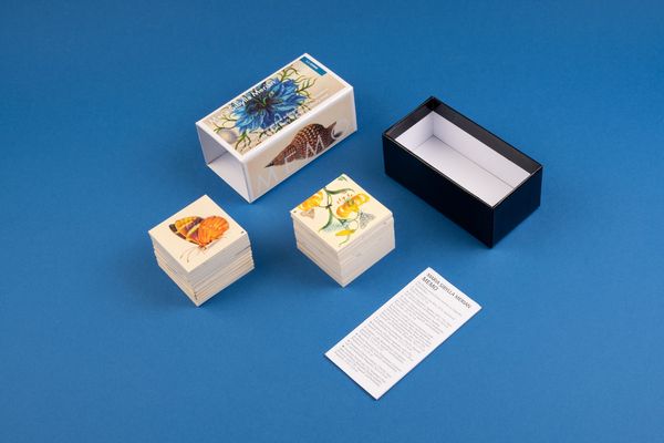 Produktbild: Maria Sibylla Merian. Memo