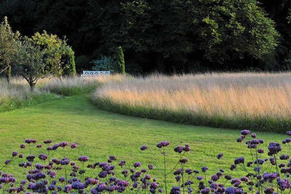 Produktbild: Meine Vision wird Garten