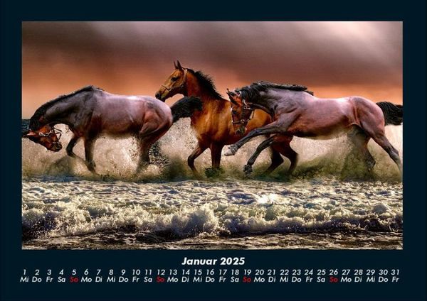 Produktbild: Pferde Kalender 2025 Fotokalender DIN A4