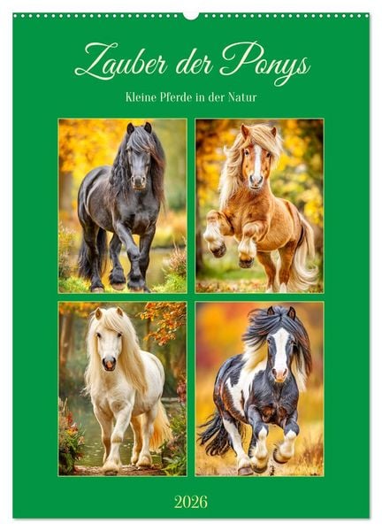Produktbild: Zauber der Ponys. Kleine Pferde in der Natur (Wandkalender 2026 DIN A2 hoch), CALVENDO Monatskalender