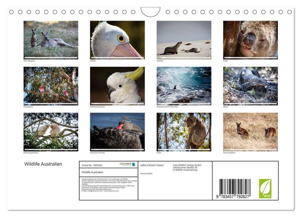 Produktbild: Wildlife Australien (Wandkalender 2026 DIN A4 quer), CALVENDO Monatskalender