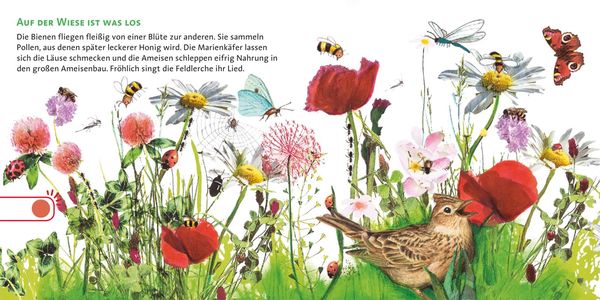 Hör mal (Soundbuch): So klingt der Sommer