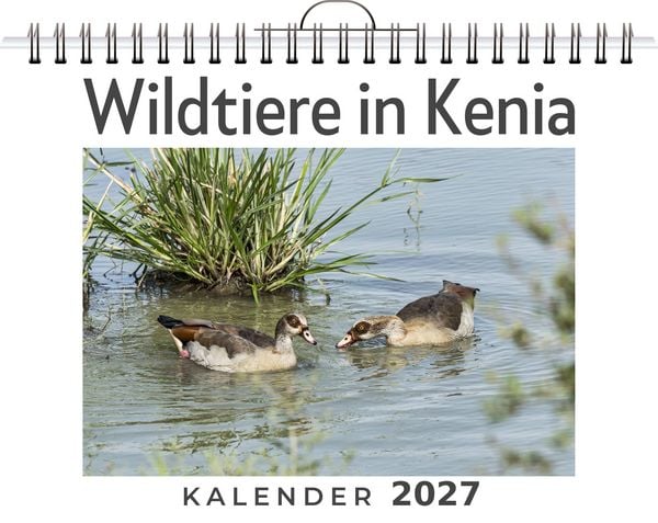 Produktbild: Wildtiere in Kenia