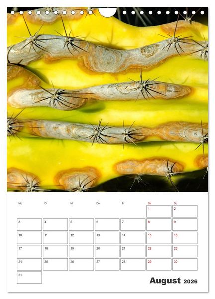 Produktbild: Dornige Sch&ouml;nheiten - Kakteen und Sukkulenten (Wandkalender 2026 DIN A4 hoch), CALVENDO Monatskalender