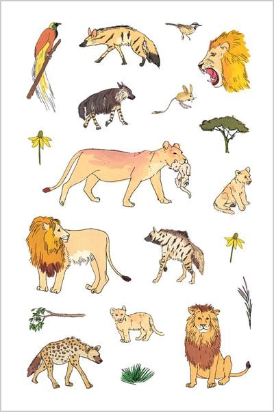 Produktbild: Wildlife Anatomy Sticker Book