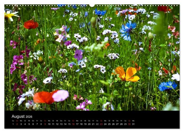 Produktbild: Winterberg - Sauerland - Eine Landschaft in Bildern (Wandkalender 2026 DIN A2 quer), CALVENDO Monatskalender
